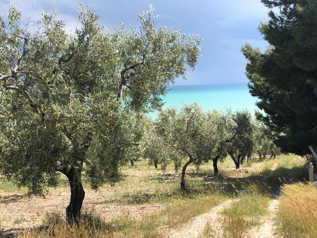 Villa In Gargano - Villa Basso Monte SantʼAngelo Buitenkant foto